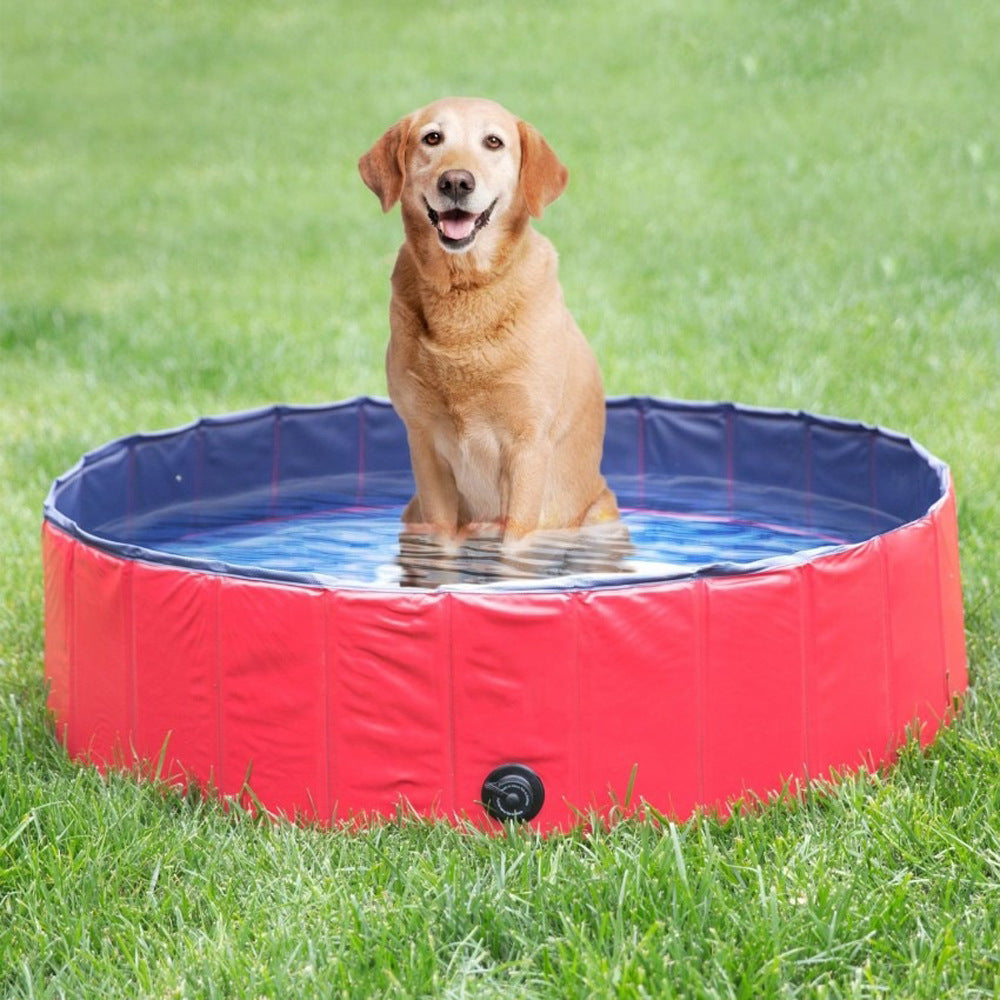 AquaPaws Pet Pool "アクアパウズ ペットプール"