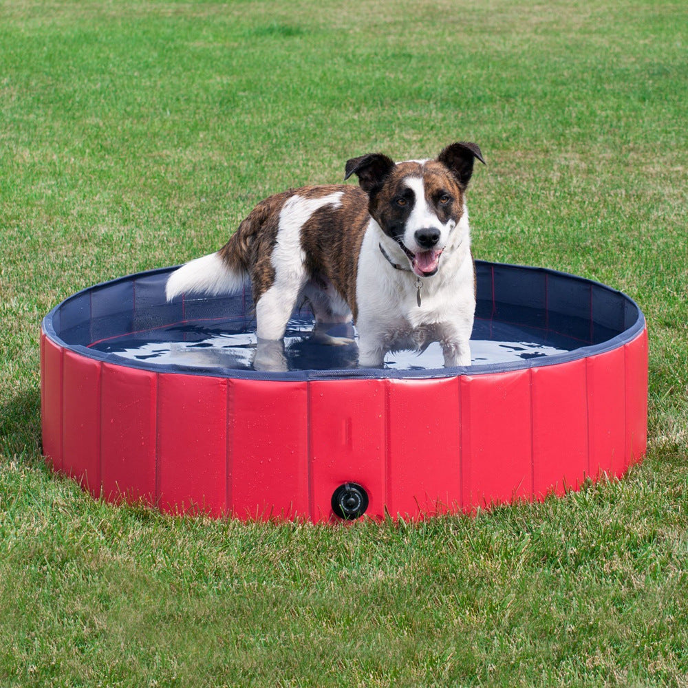 AquaPaws Pet Pool "アクアパウズ ペットプール"